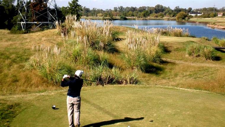 Tee shot over the pampas grass
